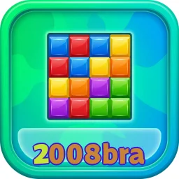2008bra